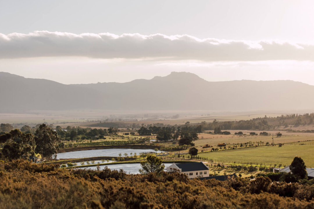 RTC-154 (1) De Stilte Glamping Tulbagh riverside farm with mountain backdrop