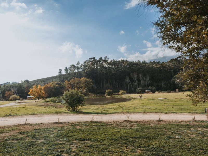 Scenic landscape view from De Stilte property overlooking meadows and trees.