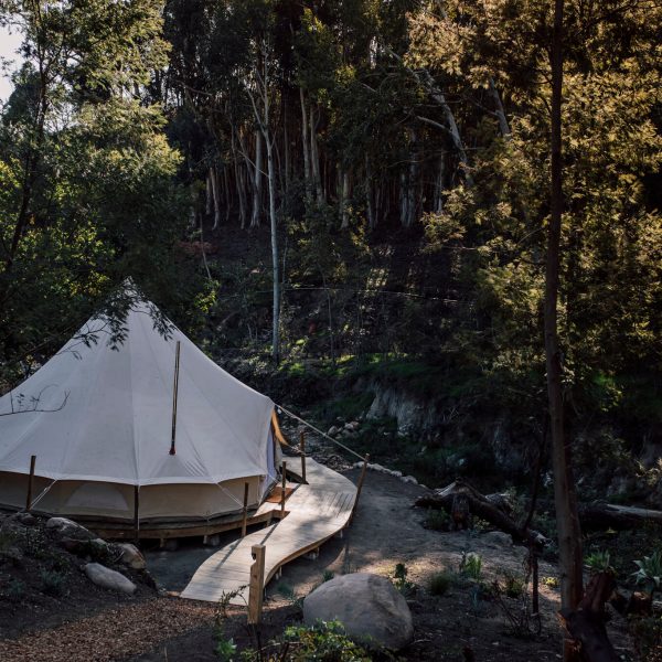 Canvas tent among tall trees on a rocky bank