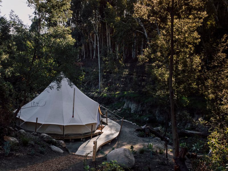 Canvas tent among tall trees on a rocky bank