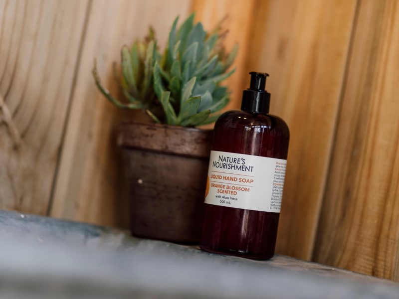Natural skincare bottle and potted plant on wooden counter