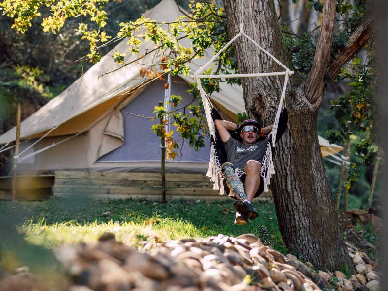 Tree swing beside tent with guest playing