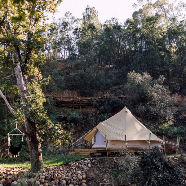 Small canvas tent among trees on hillside